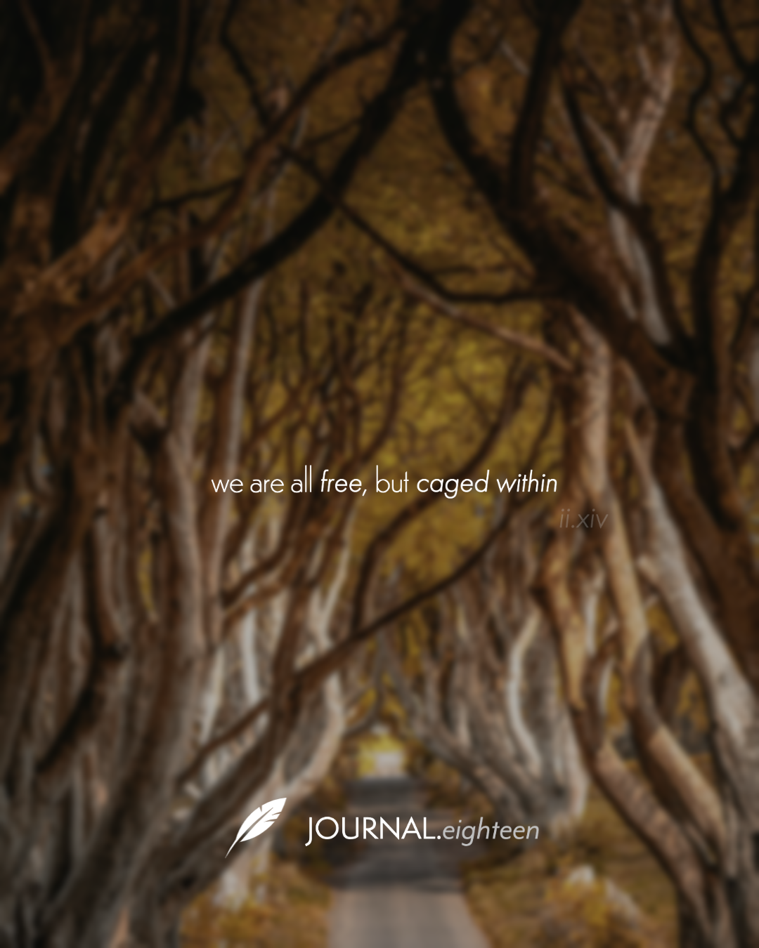 journalxeighteen.webp